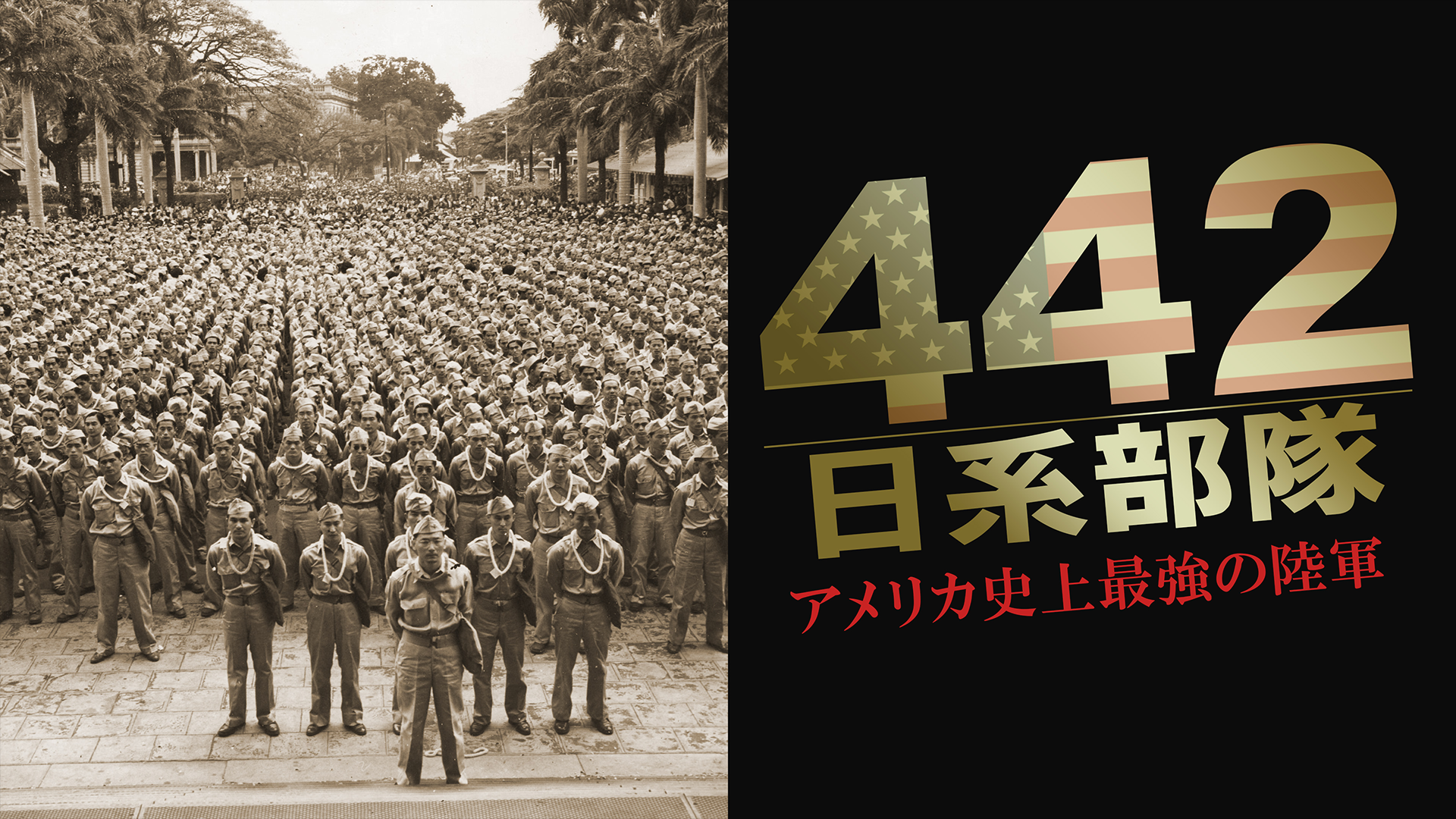 442 nikkeibutai amerikashijousaikyounori