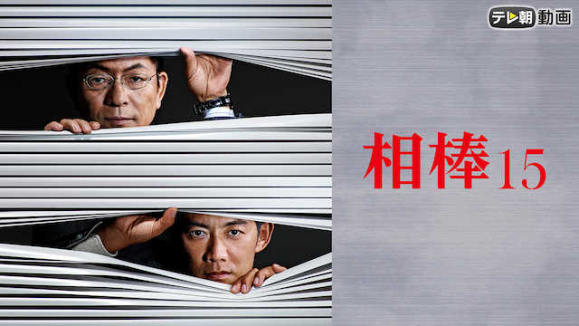 aibou season15
