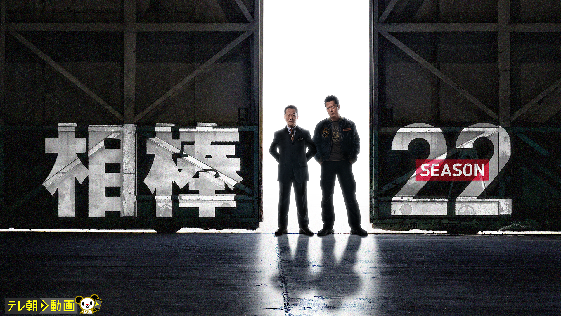 aibou season22