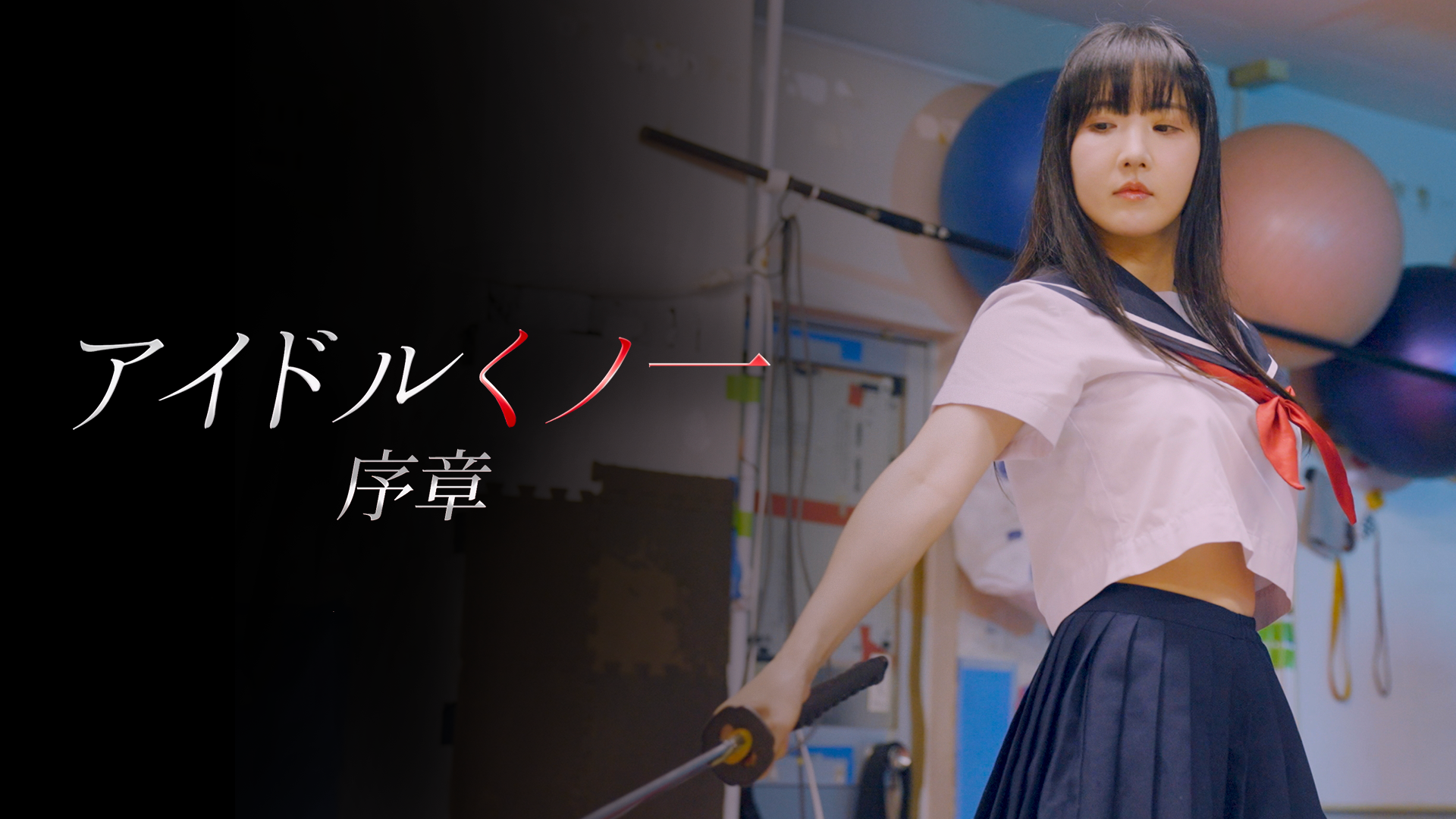 aidorukunoichijoshou