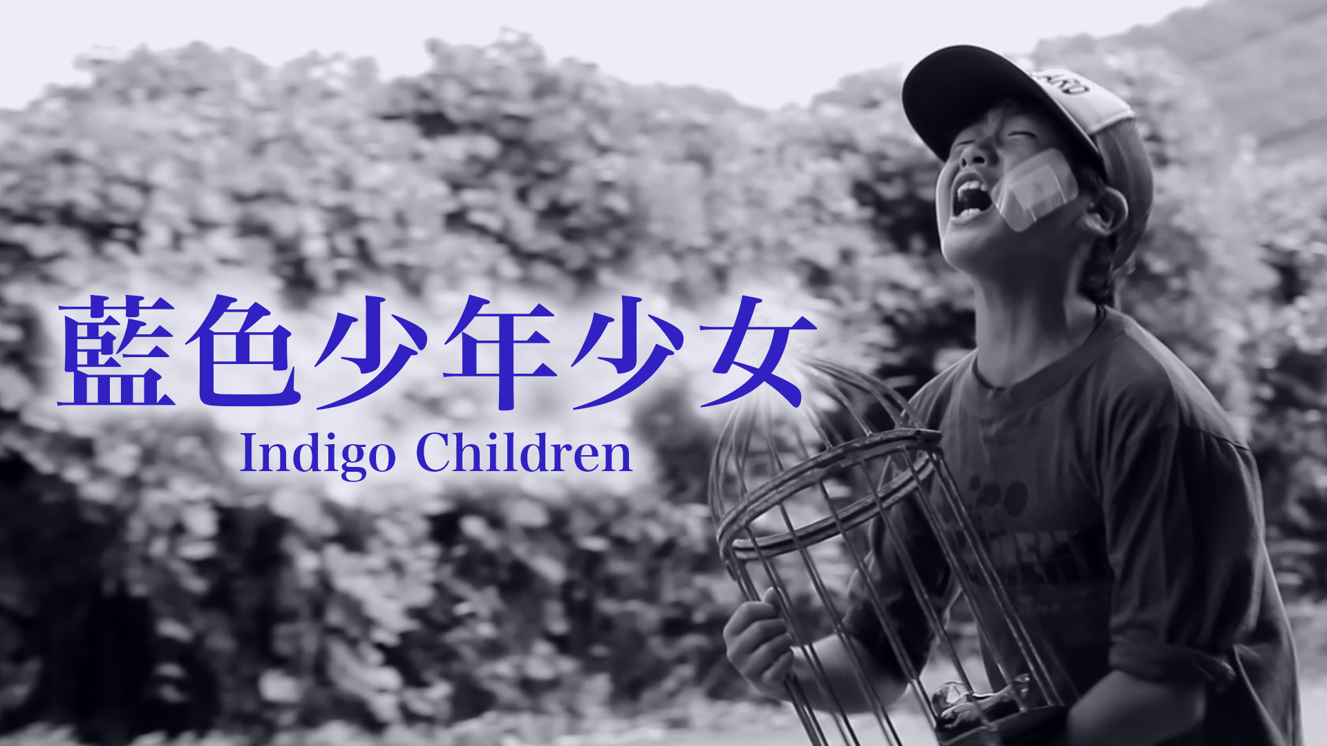 aiiroshounenshoujo indigo children