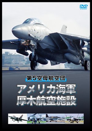 amerikakaigunatsugikoukuushisetsu
