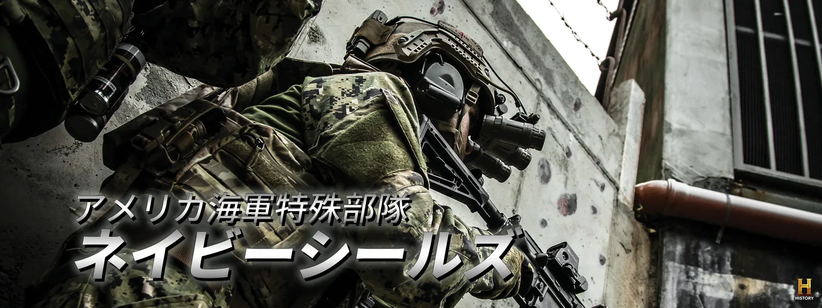 amerikakaiguntokushubutai neibiishiiruzu
