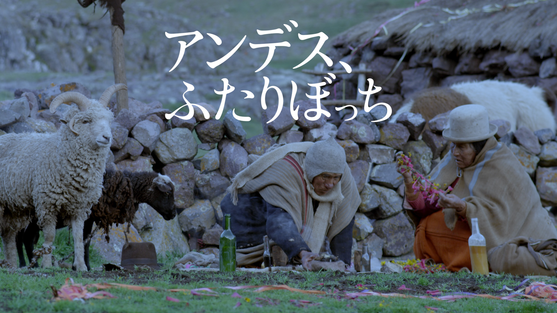 andesu futaribotchi