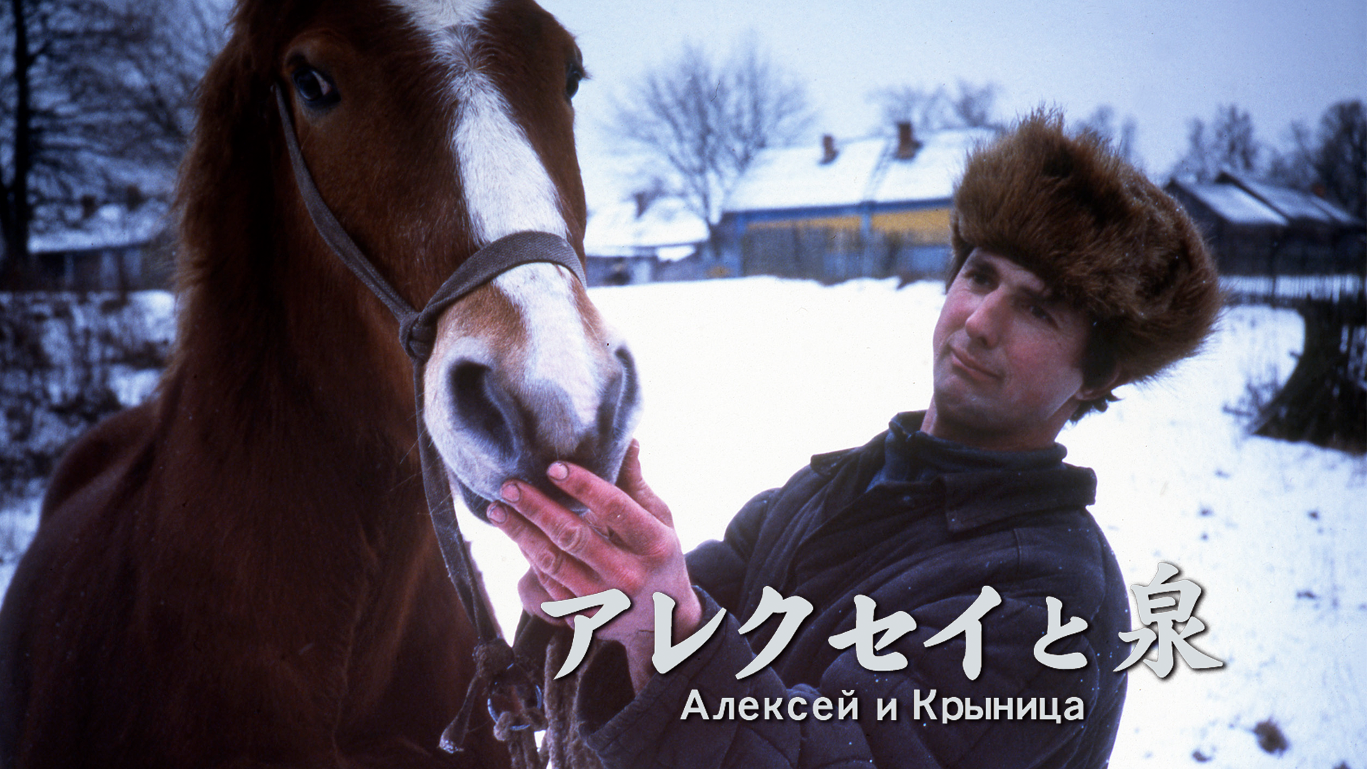 arekuseitoizumi