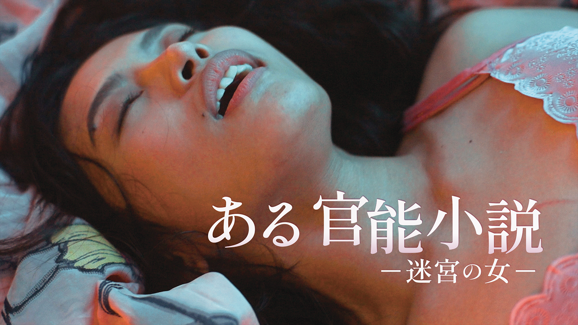 arukannoushousetsu meikyuunoonna 60980