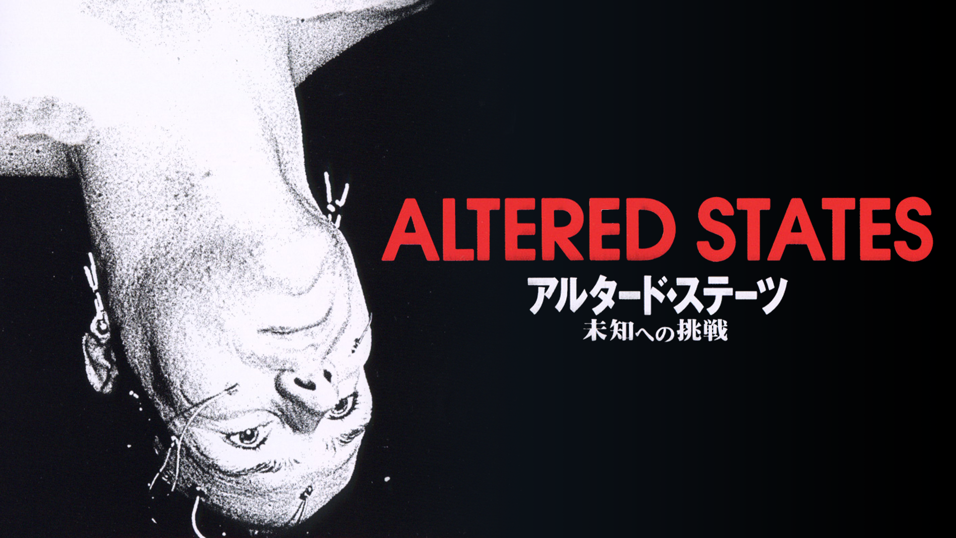 arutaado suteetsu michihenochousen