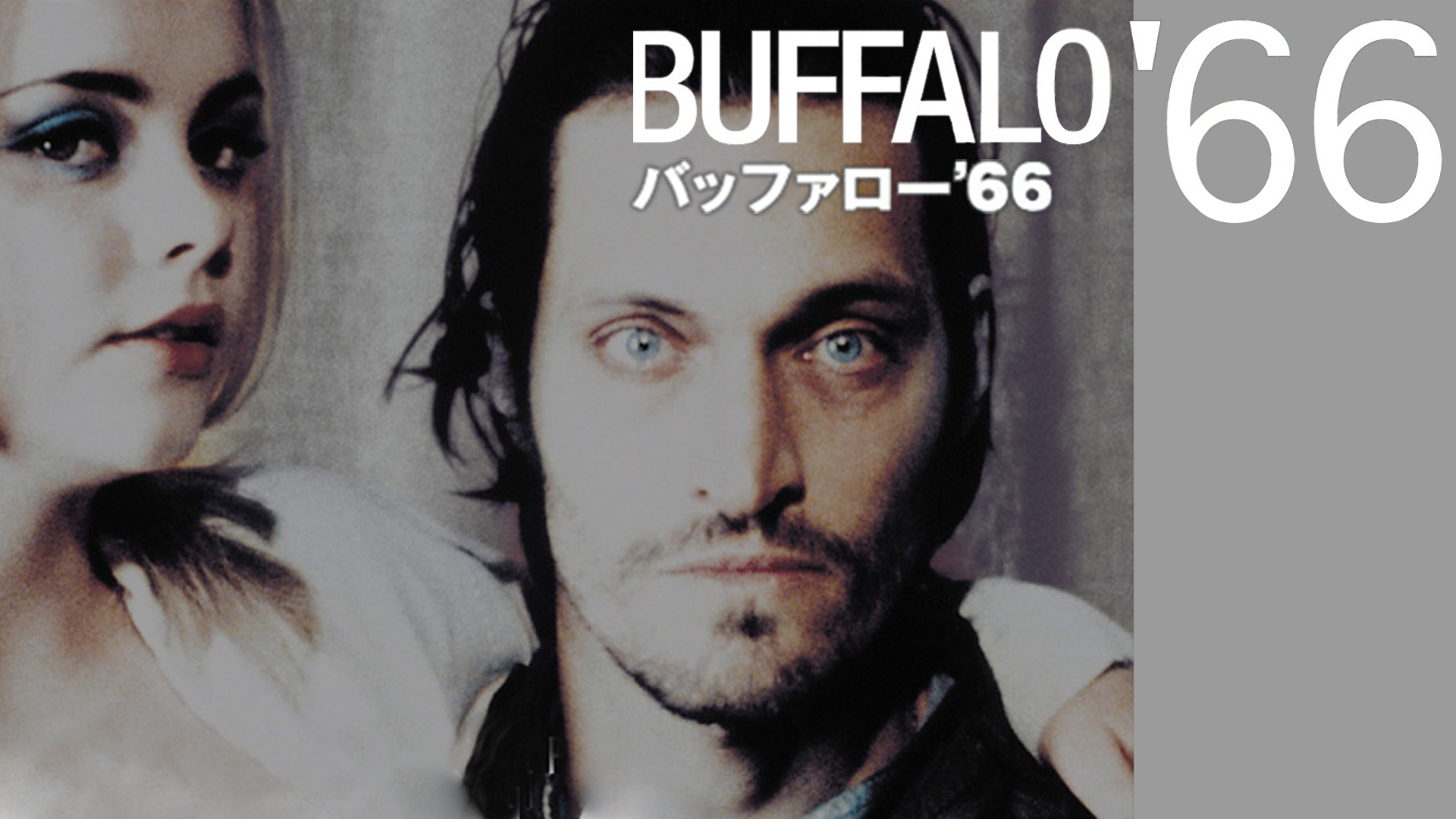 baffaroo 66
