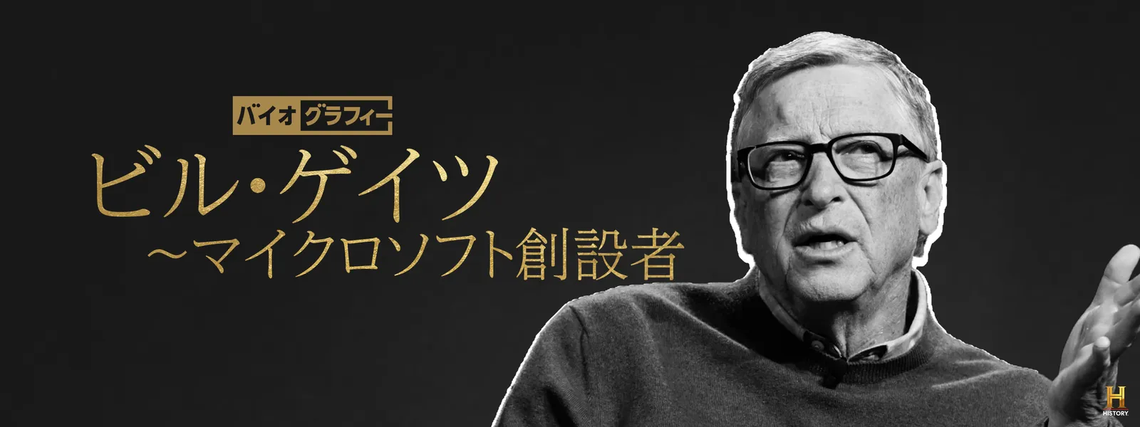 baiogurafii birubirugeitsu maikurosofuto