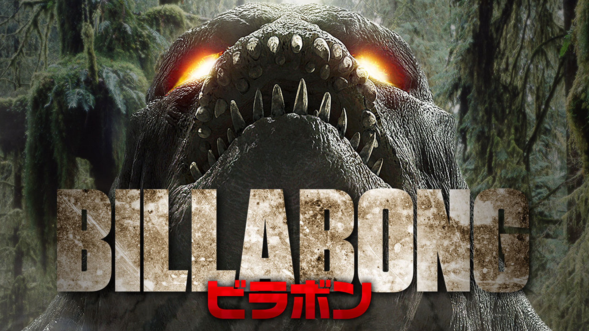billabong birabon