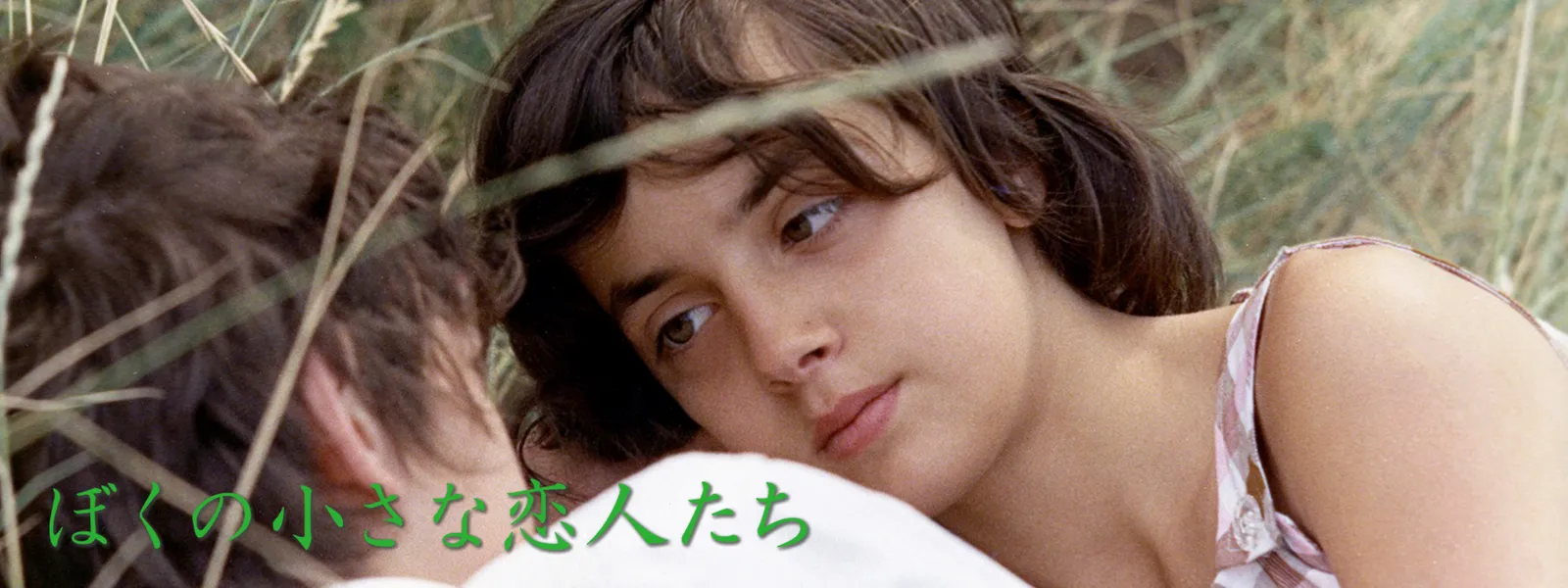 bokunochiisanakoibitotachi