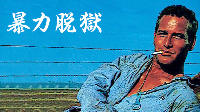 bouryokudatsugoku