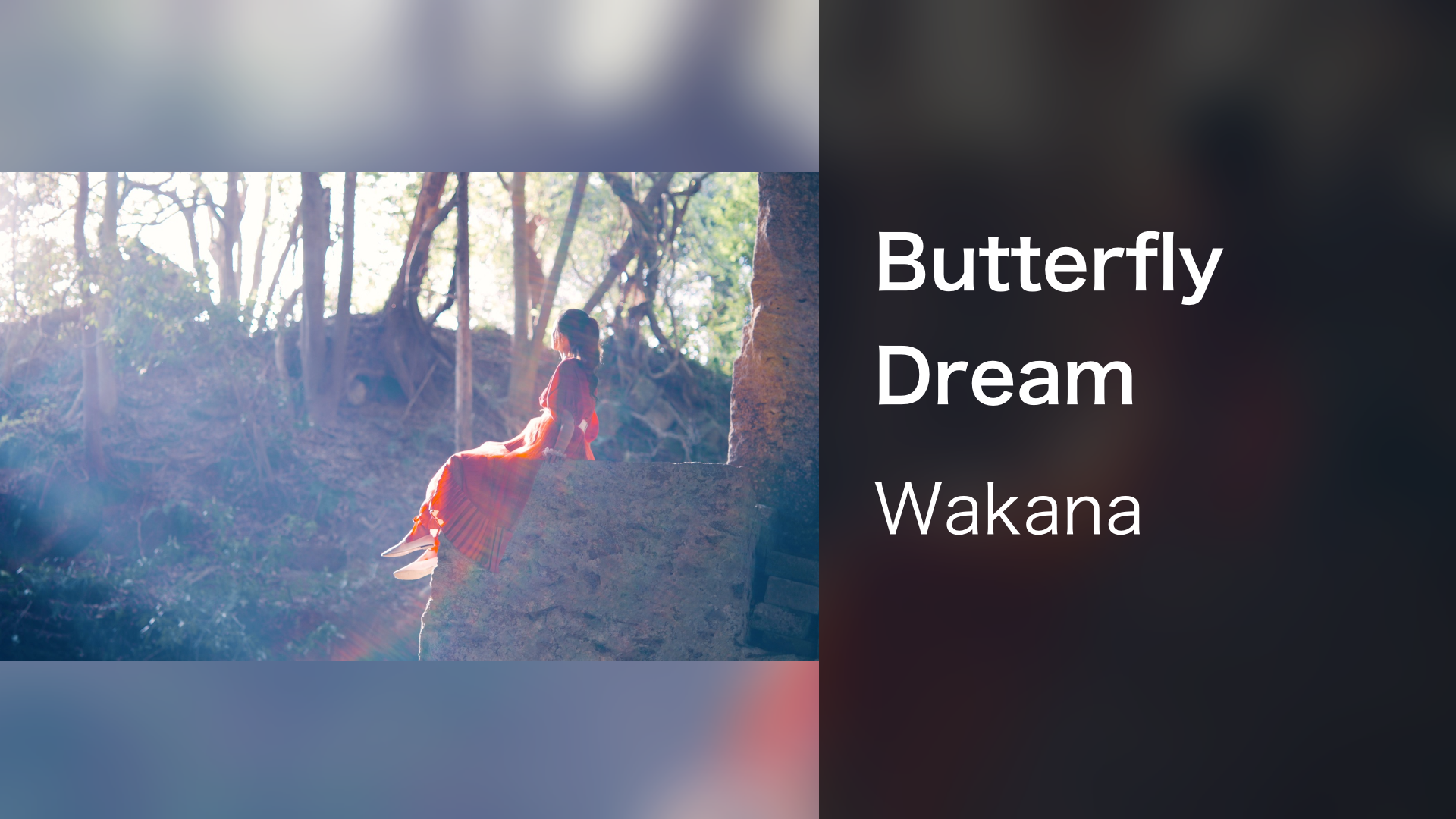 butterfly dream