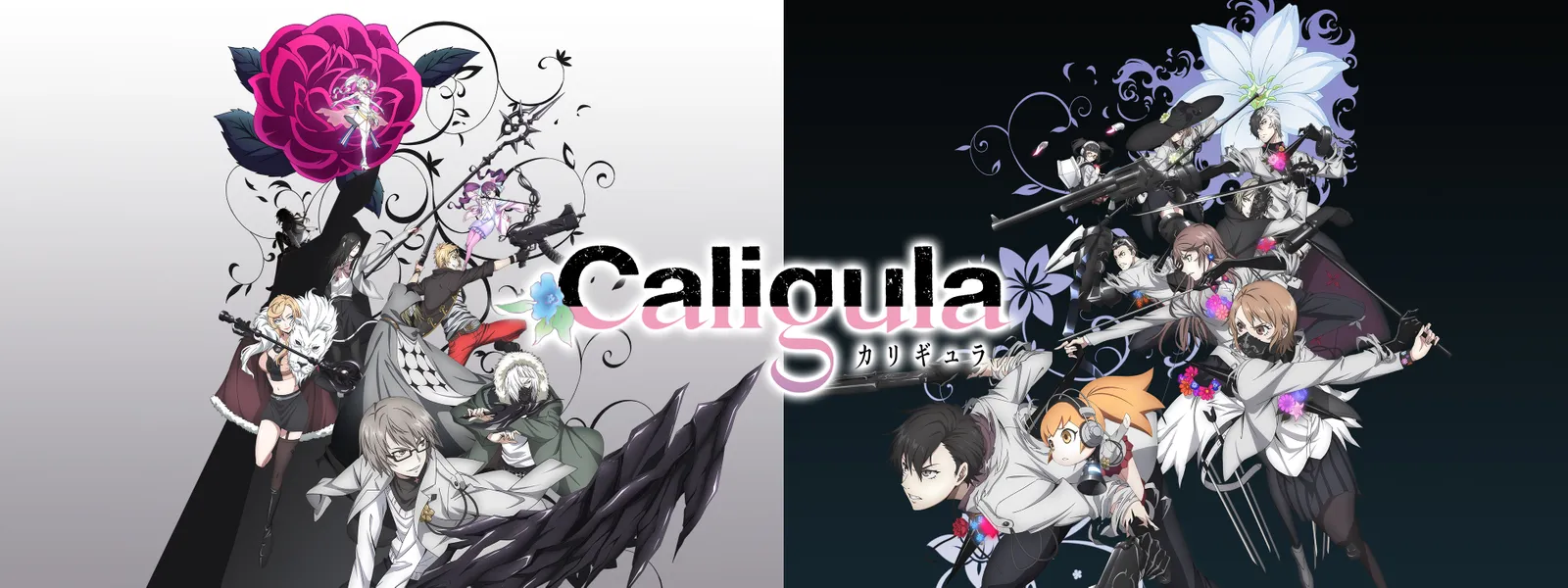 caligula karigyura 74034