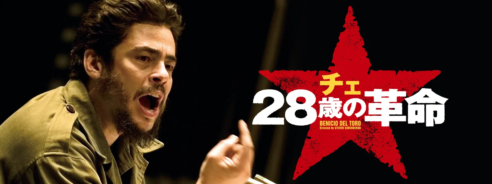 che 28toshinokakumei