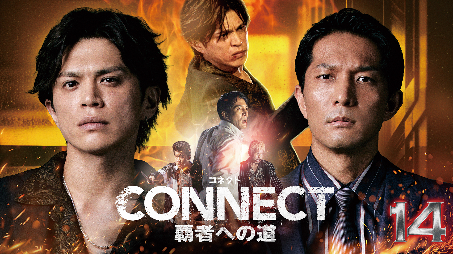 connect hashahenomichi 14