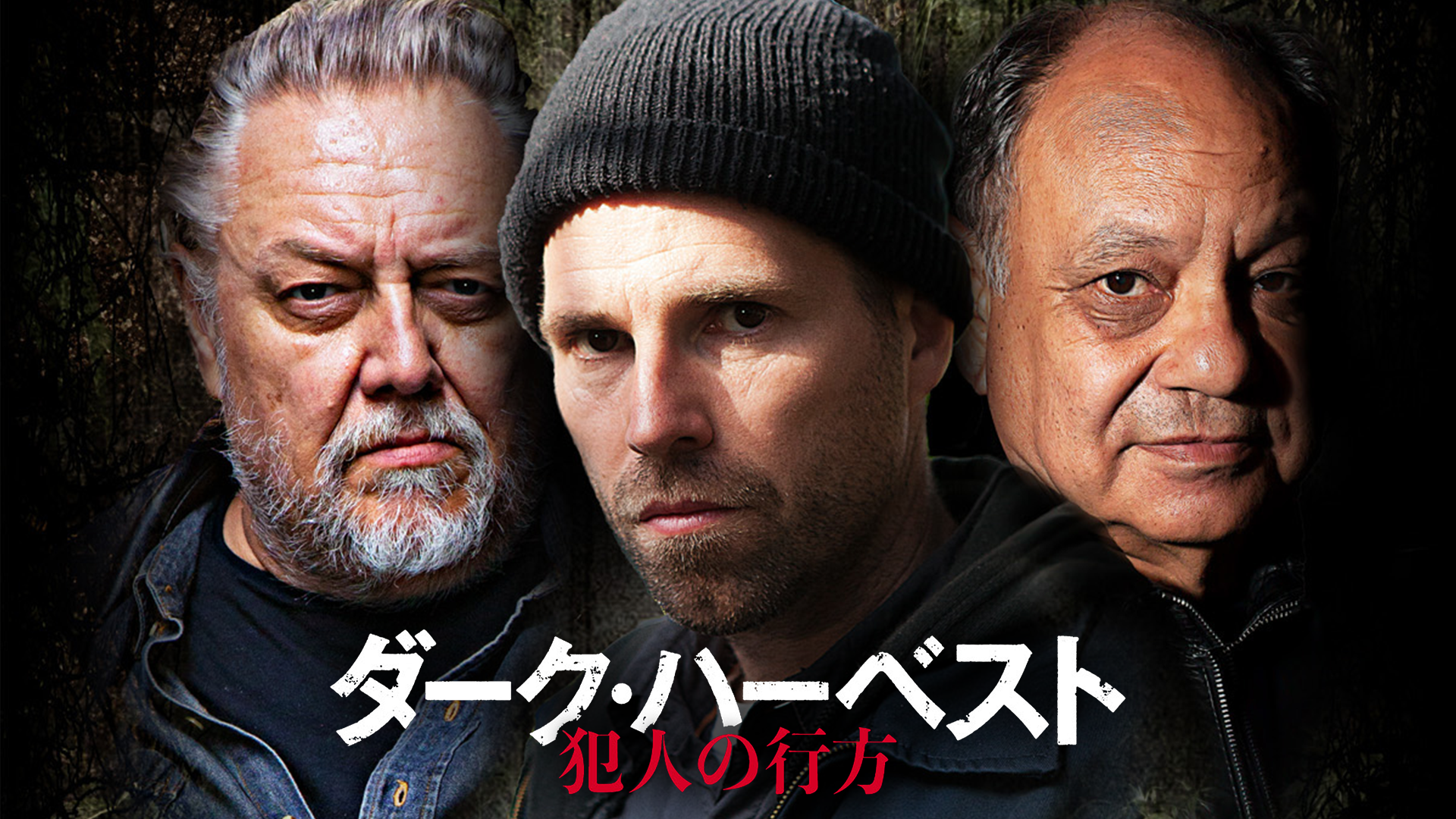 daaku haabesuto hanninnonamegata