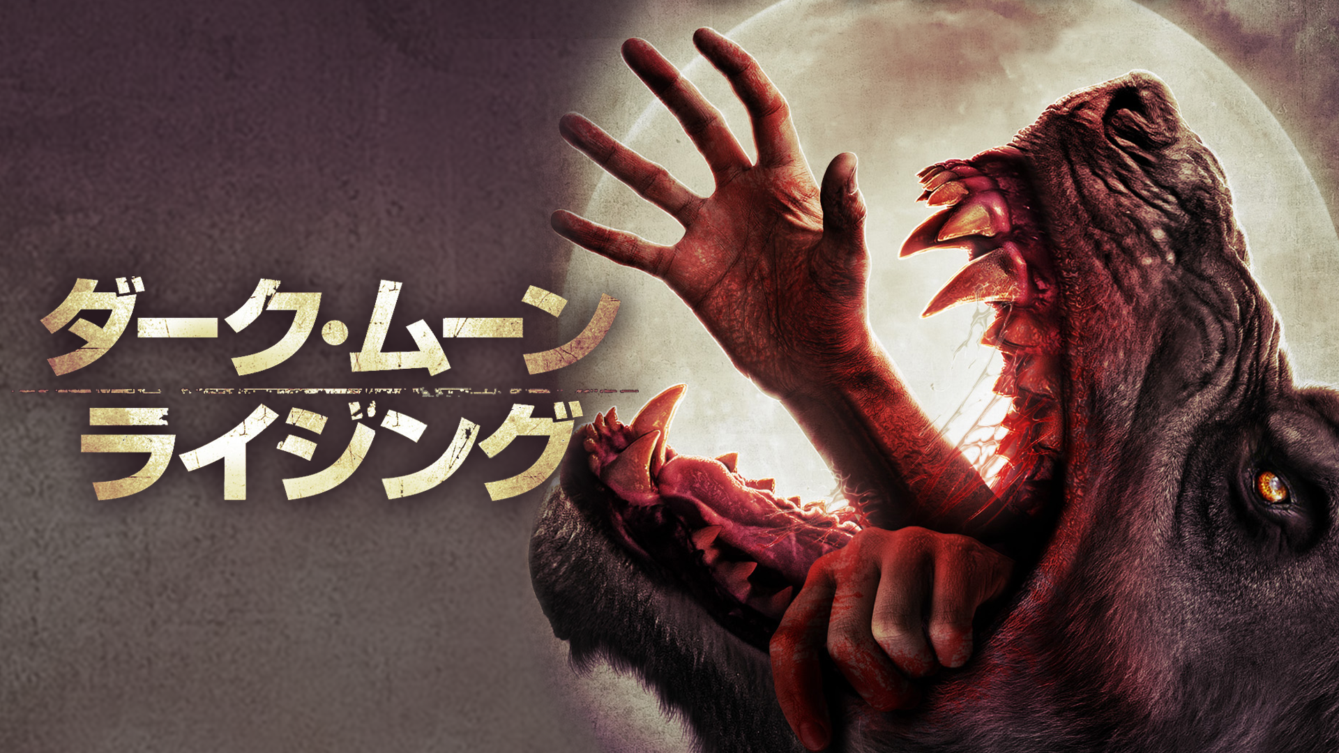 daaku muun raijingu