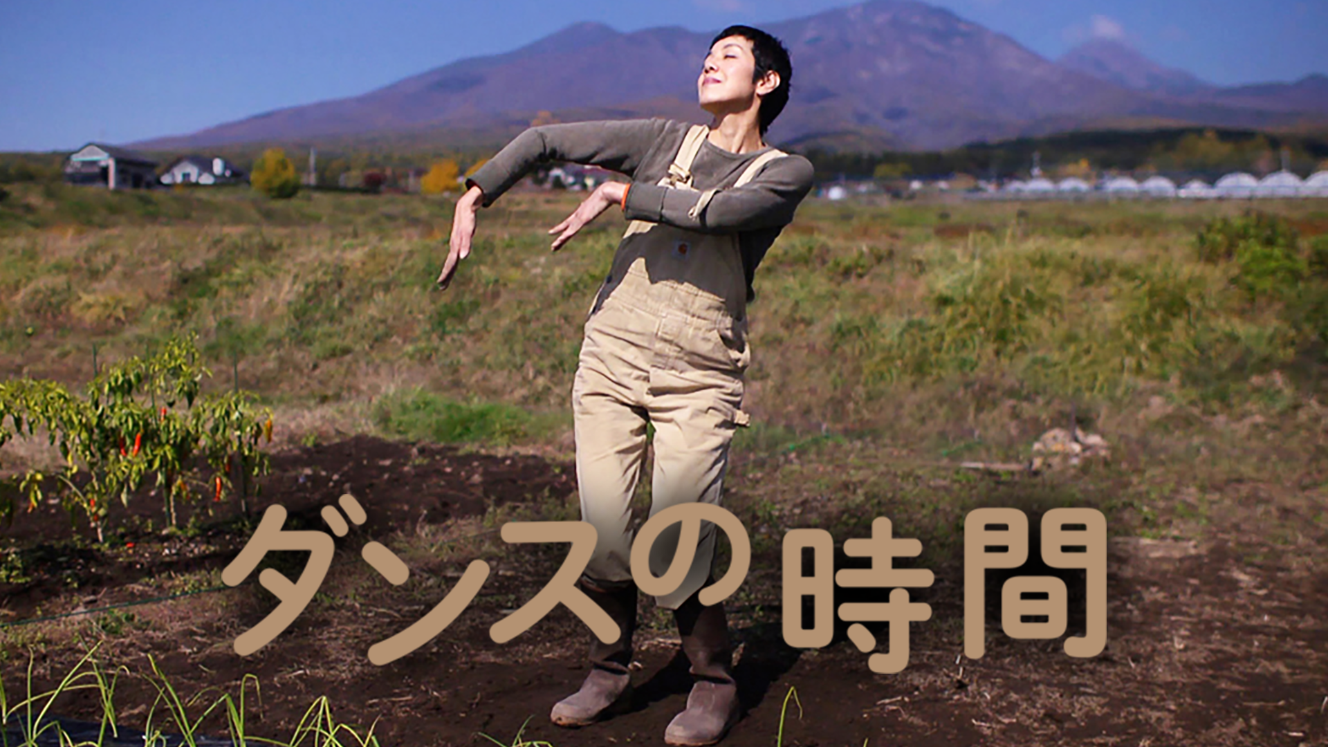 dansunojikan