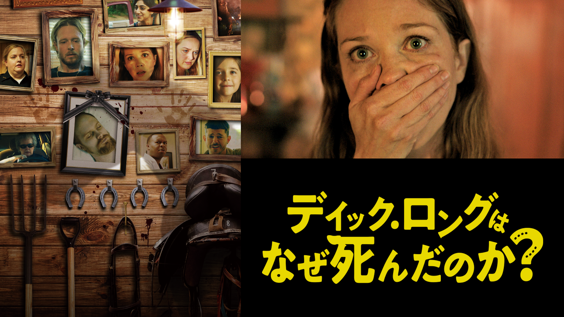 dikku ronguhanazeshindanoka 65810