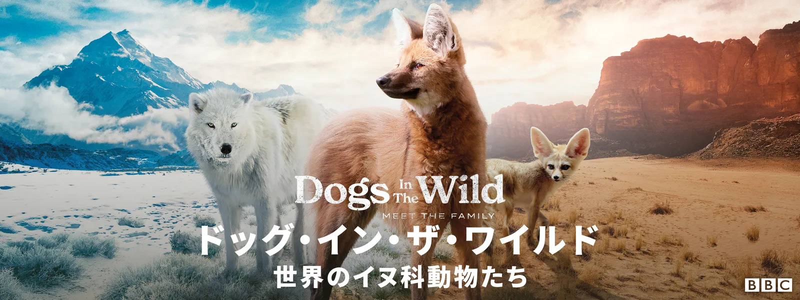 doggudogguininzazawairudo sekainoinukado