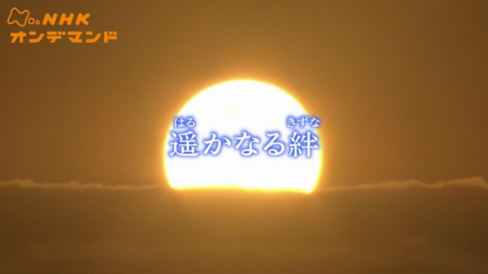 doyoudorama harukanarukizuna