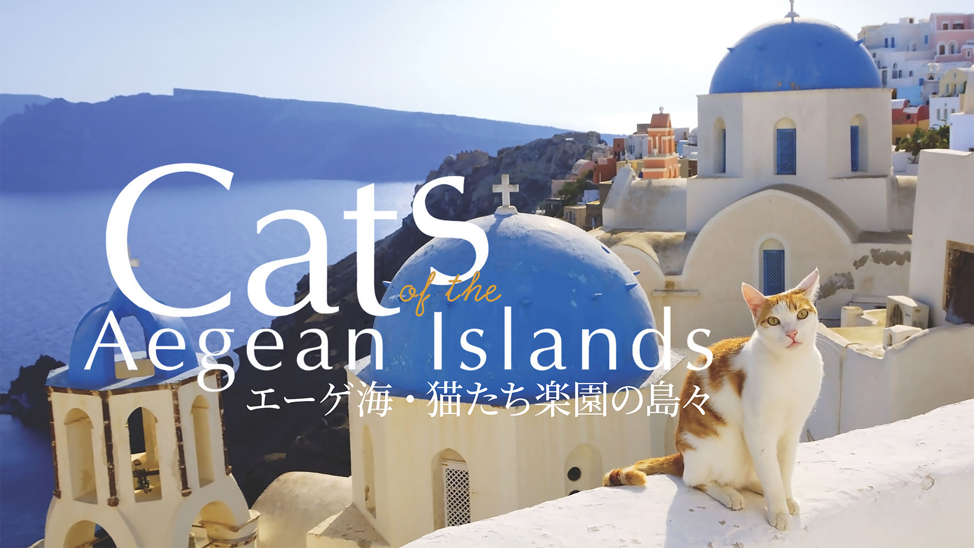 eegeumi nekotachirakuennoshima kurikaesi