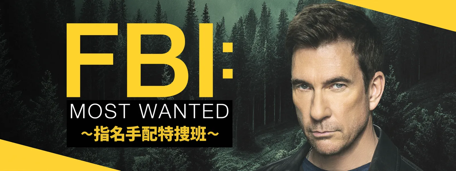 fbi most wanted shimeitehaitokusouhan