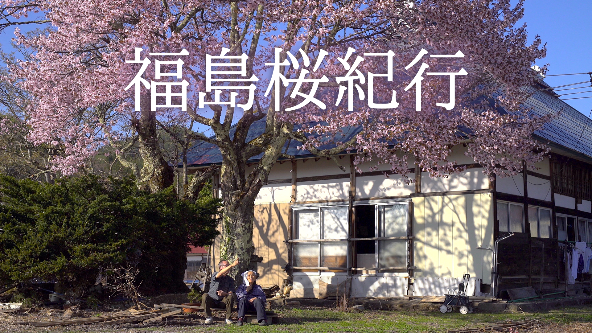 fukushimasakurakikou