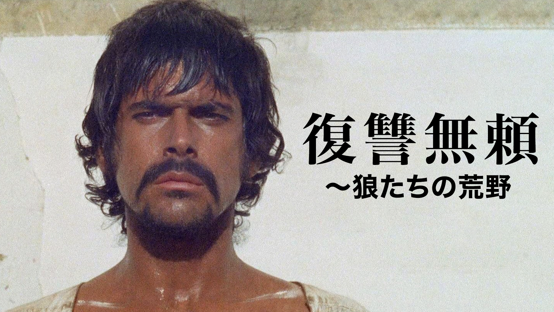 fukushuuburai ookamitachinokouya
