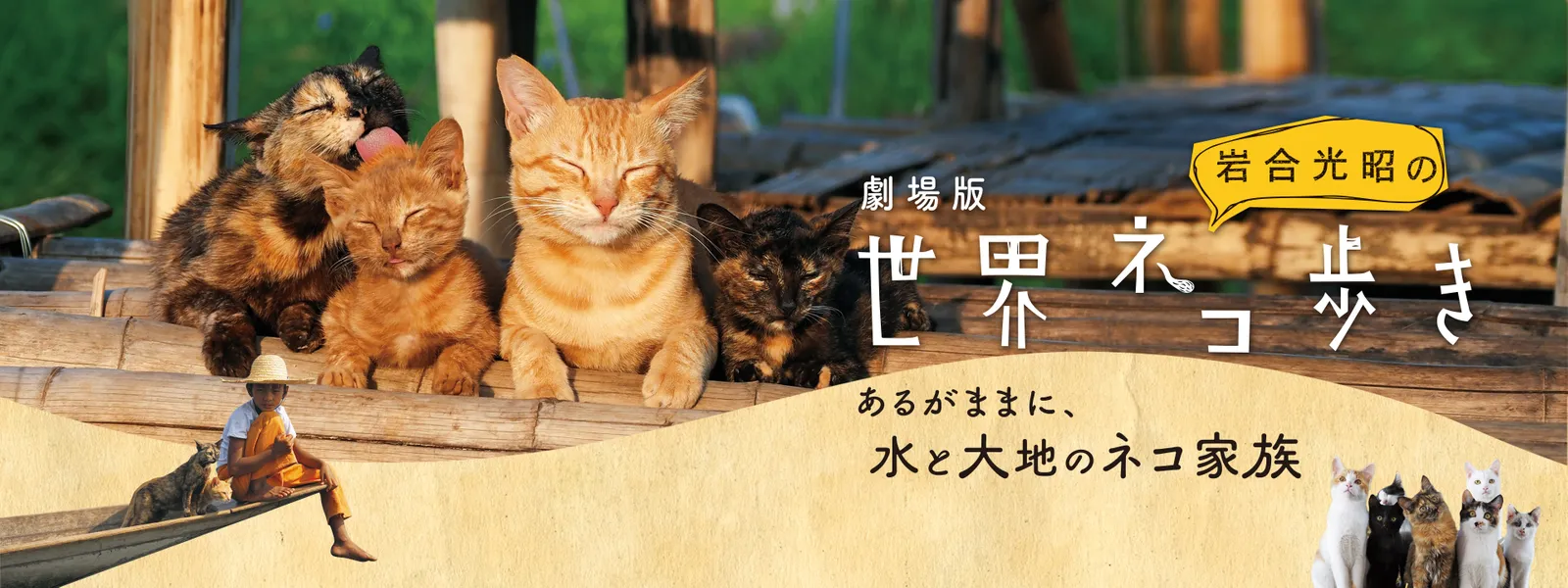 gekijouban iwagoumitsuakinosekainekoaruk
