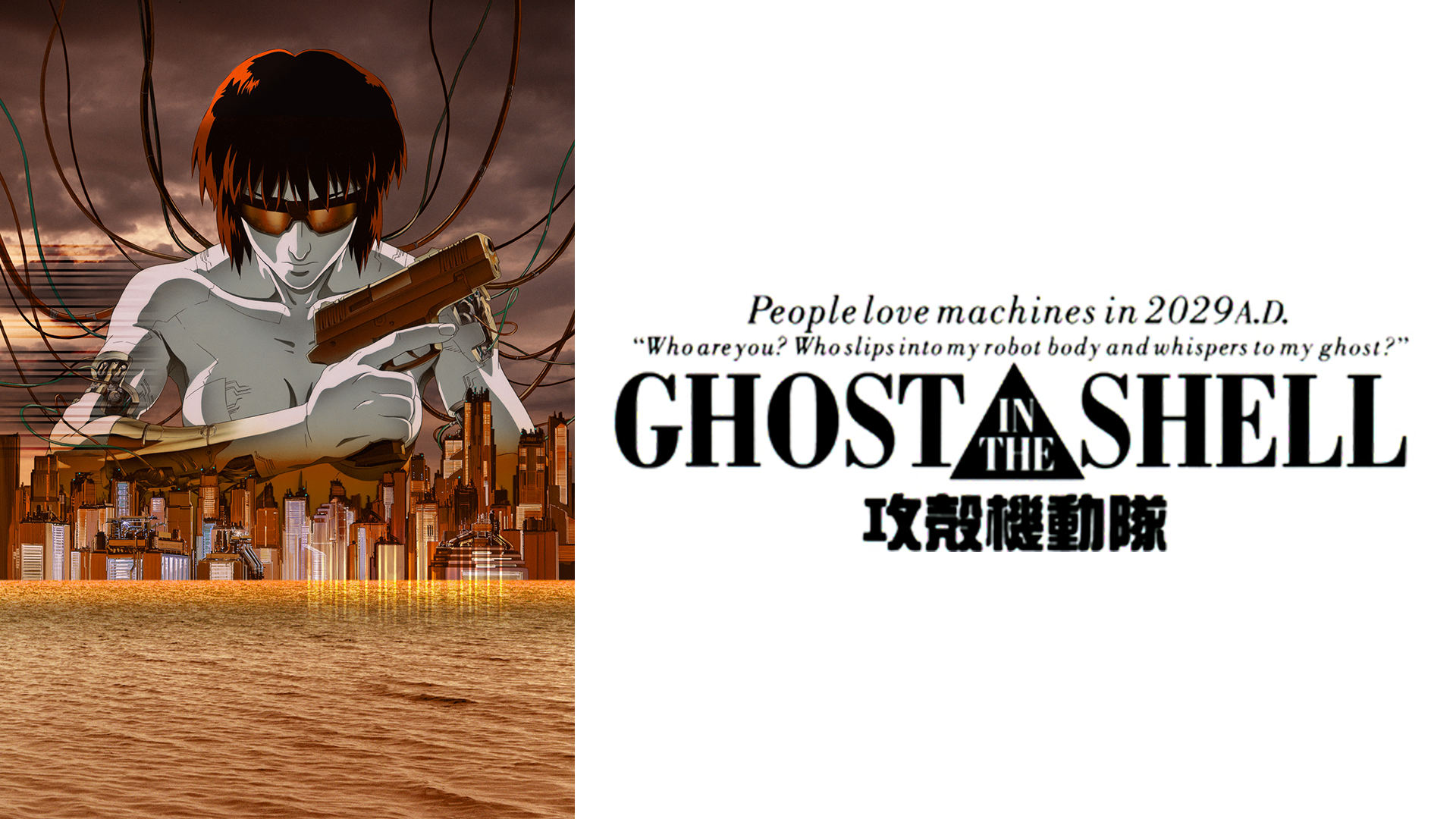 ghost in the shell koukakukidoutai 51118