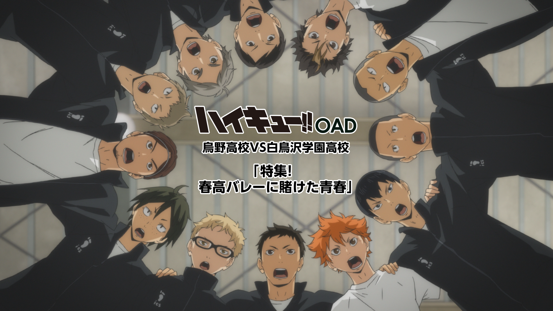 haikyuu karasunokoukouvshakuchousawagaku