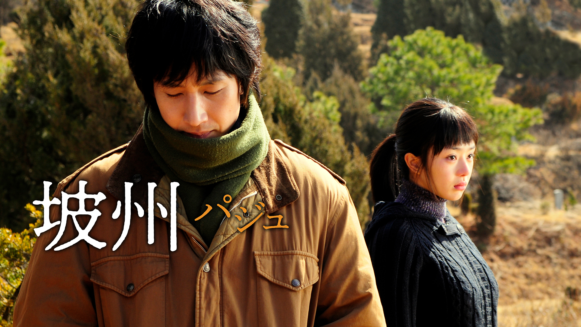 hashuu paju