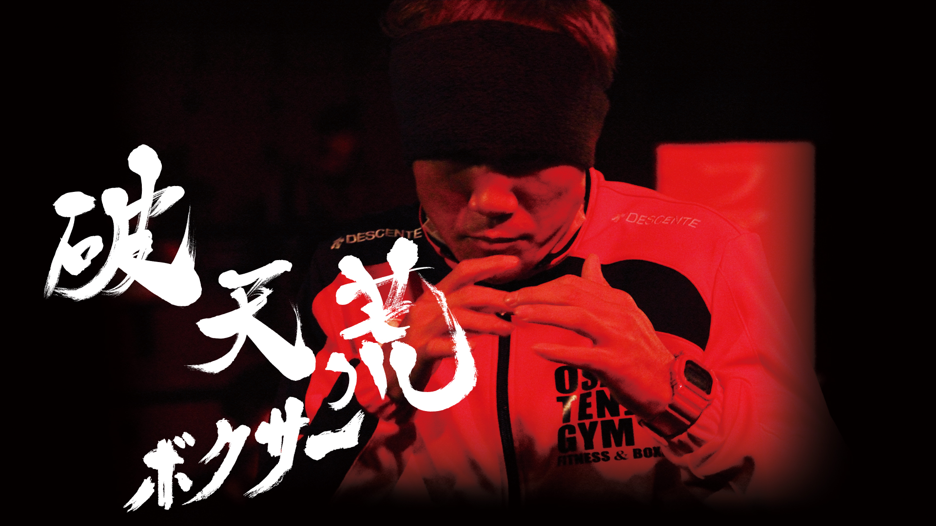hatenkoubokusaa