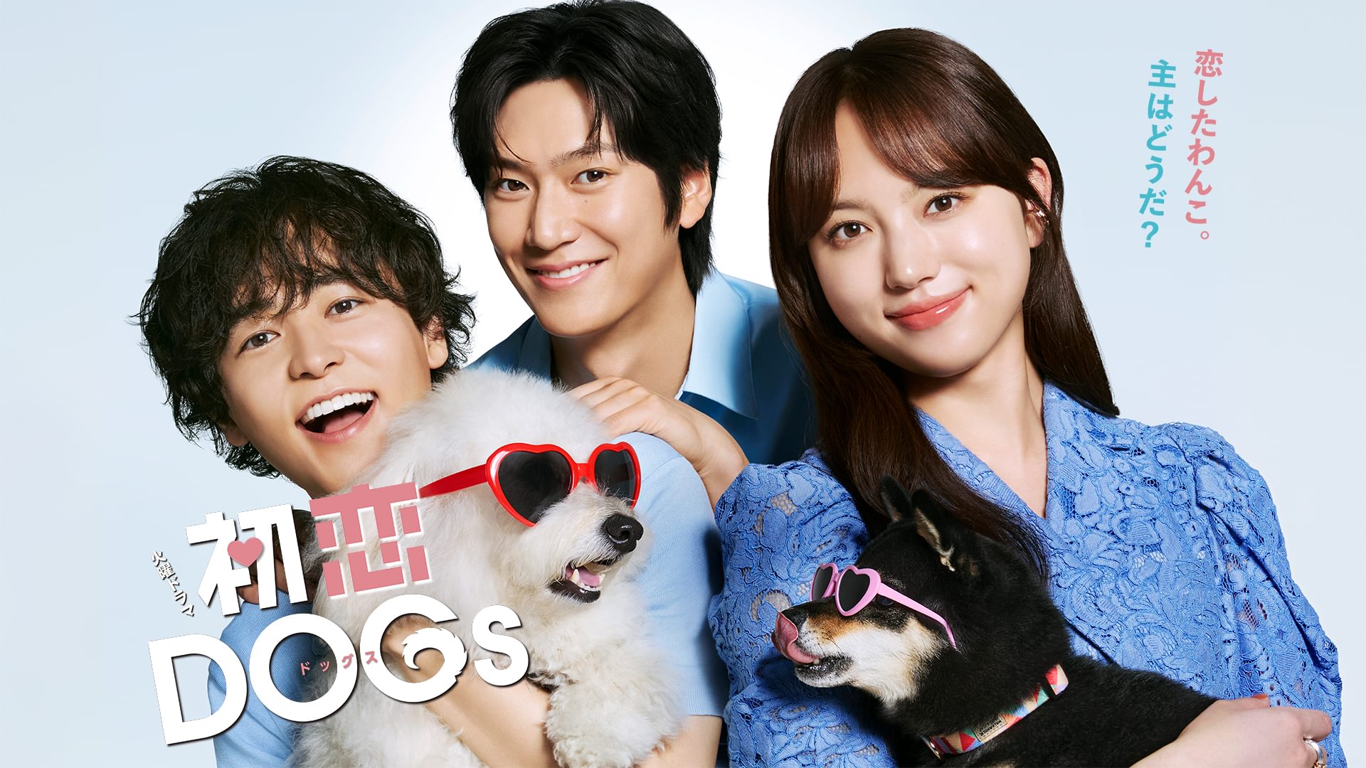 hatsukoidogs
