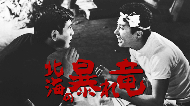 hokkainoabareryuu