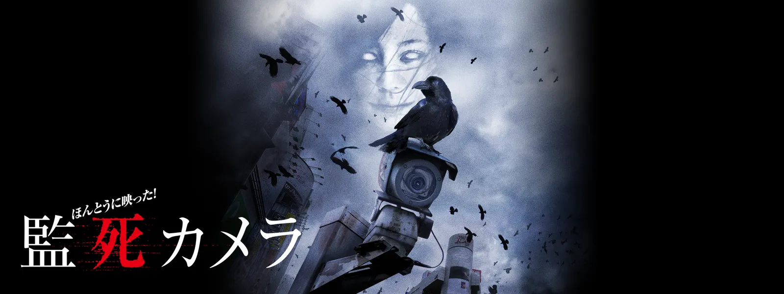hontouniutsutsuta kanshikamera