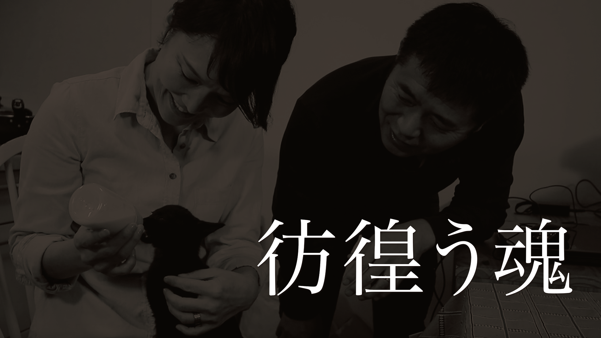 houkouutamashii