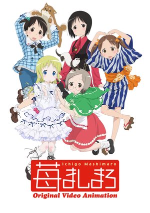ichigomashimaro orijinarubideoanimeeshon