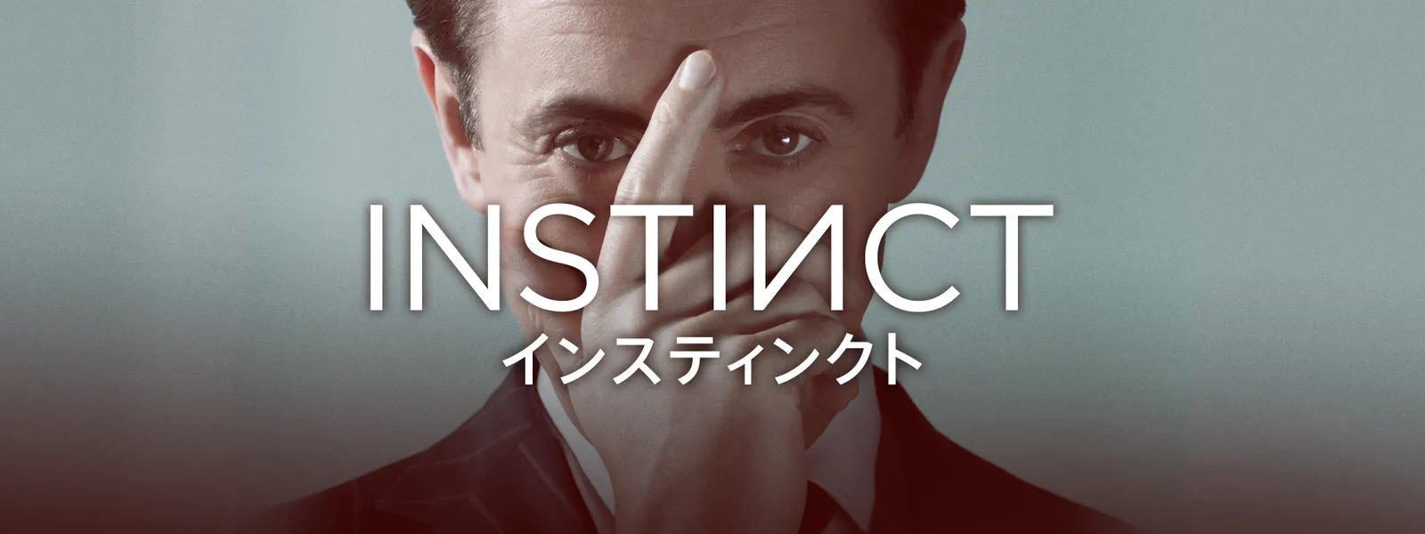 insuteinkuto
