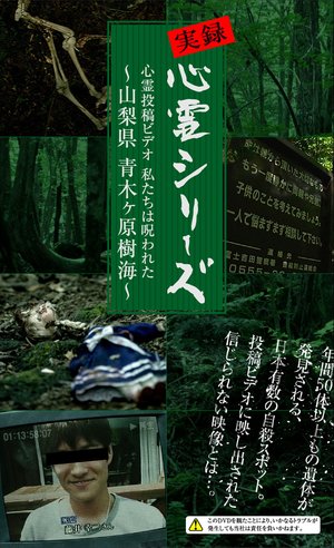 jitsurokushinreishiriizu shinreitoukoubi