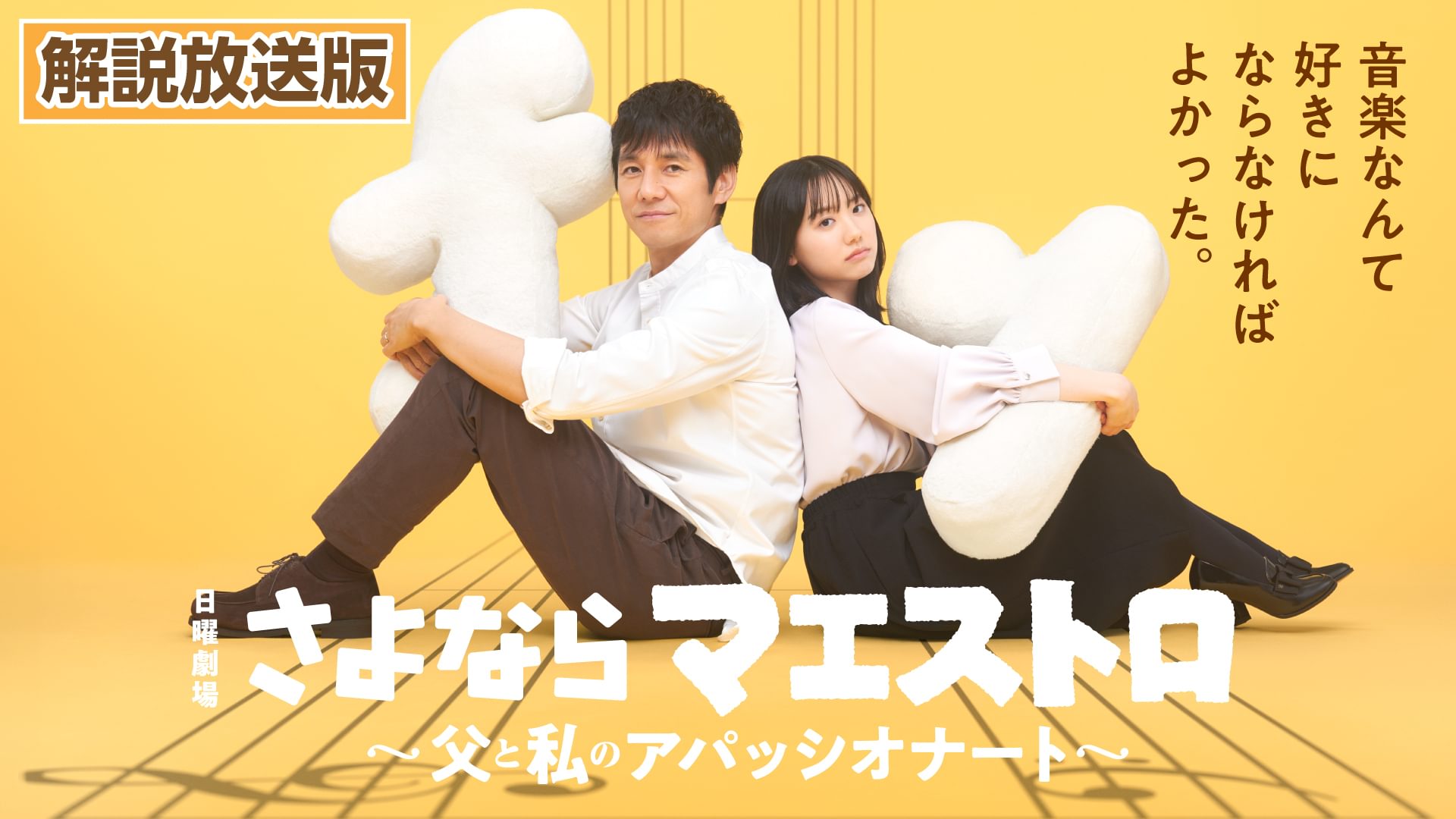 kaisetsuhousouhan sayonaramaesutoro chic