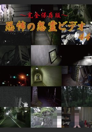 kanzenhozonban kyoufunoonryoubideo44