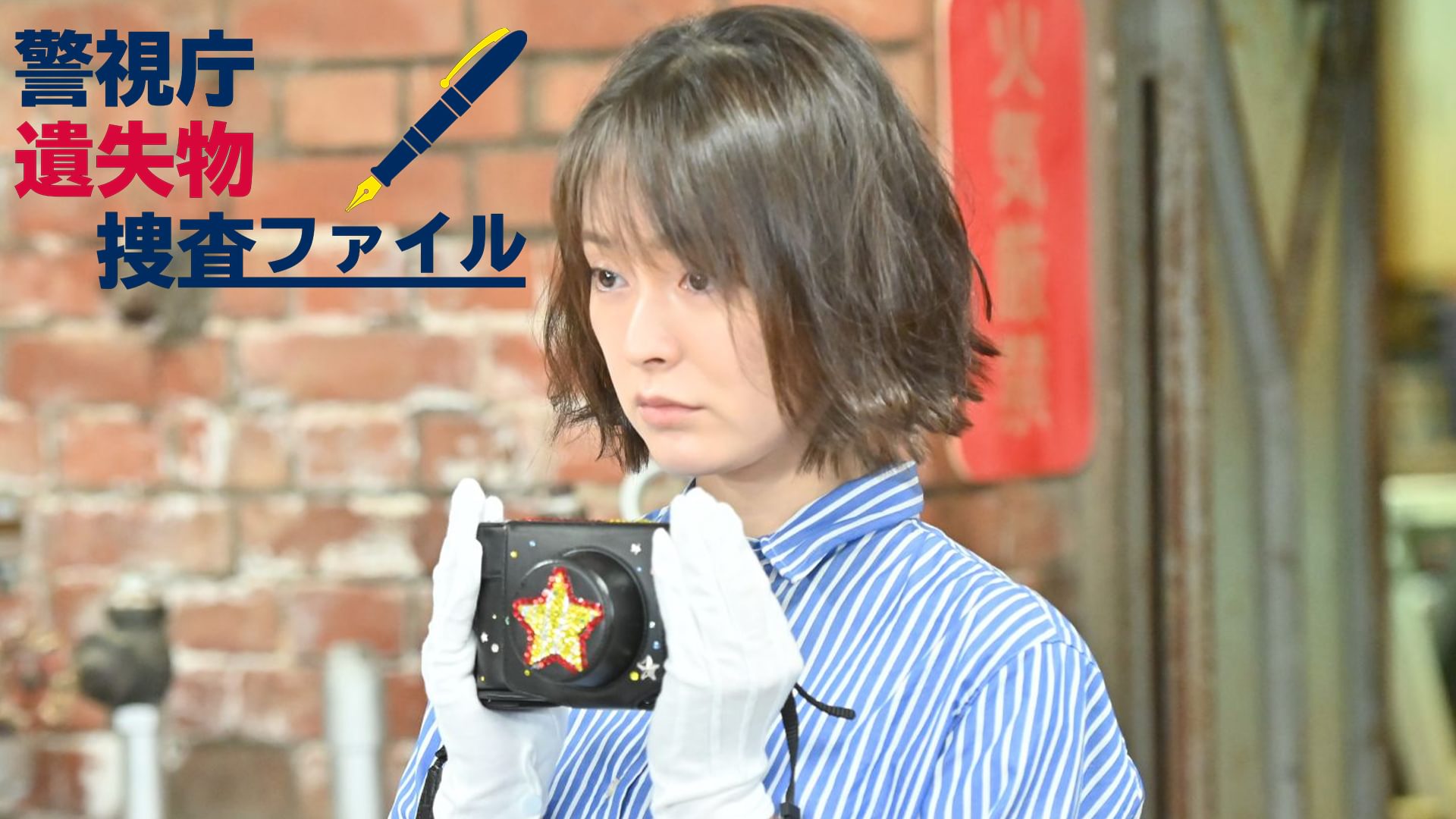 keishichouishitsubutsusousafairu