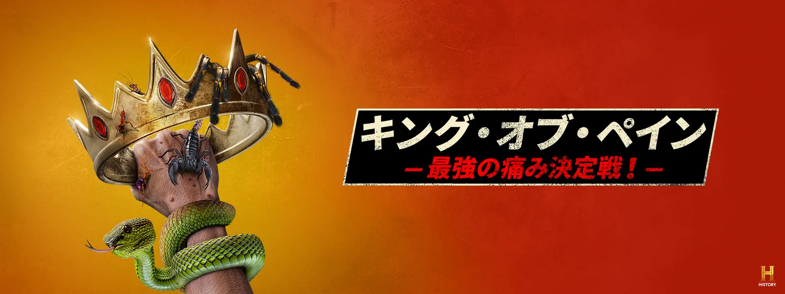 kingukinguobuobupein saikyounoitamikette