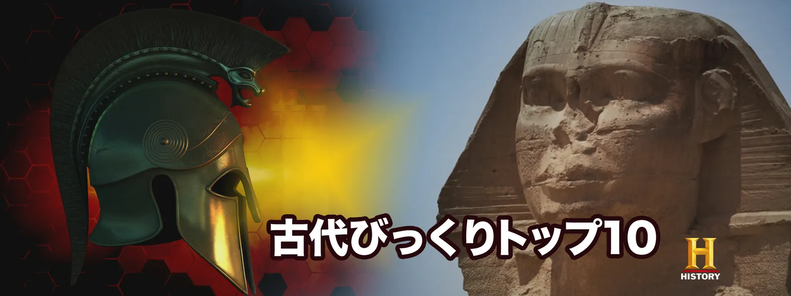 kodaibikkuritoppu10