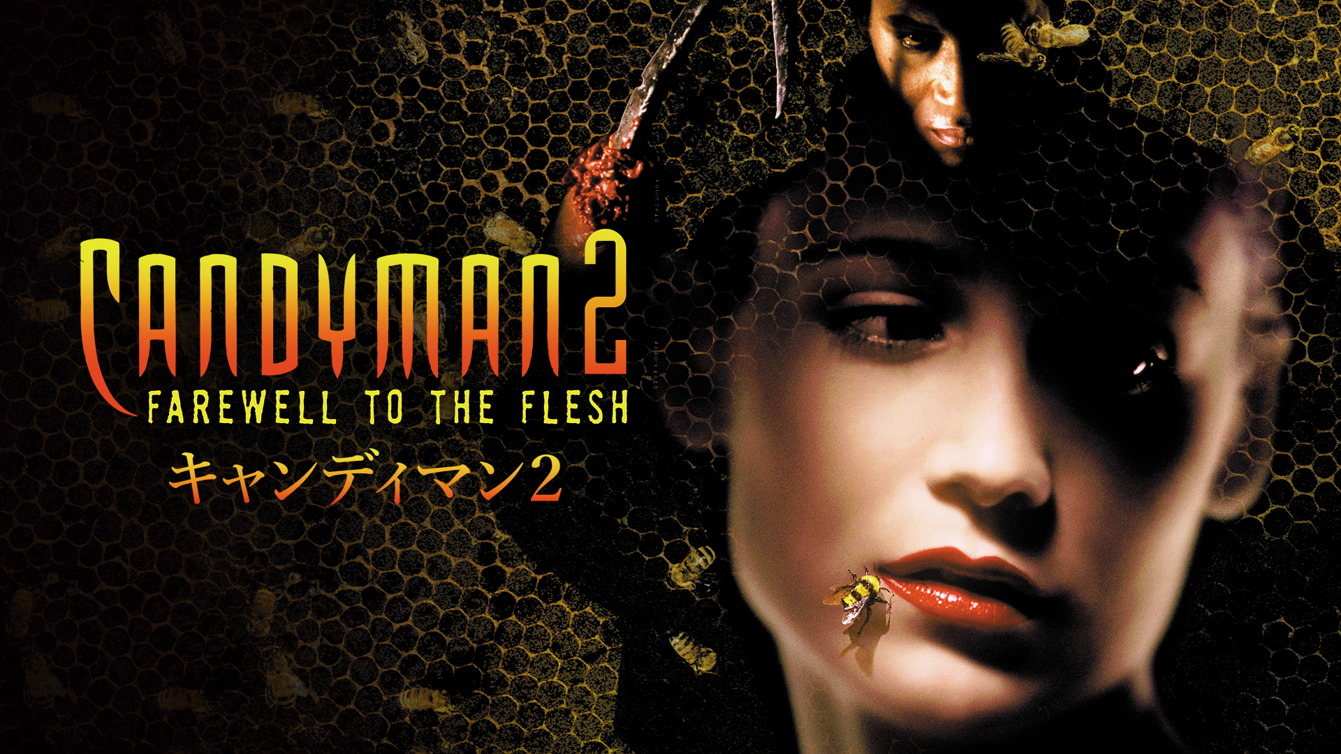 kyandiman2