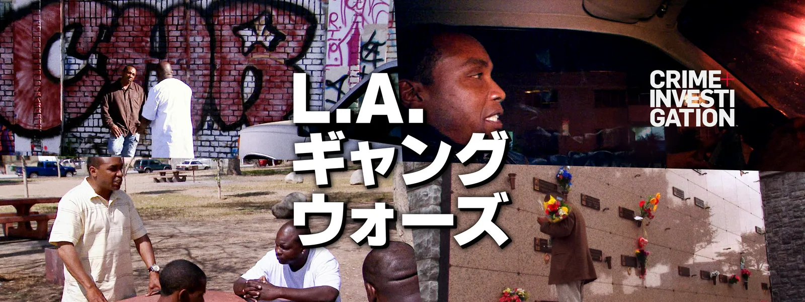l a gyanguuoozu
