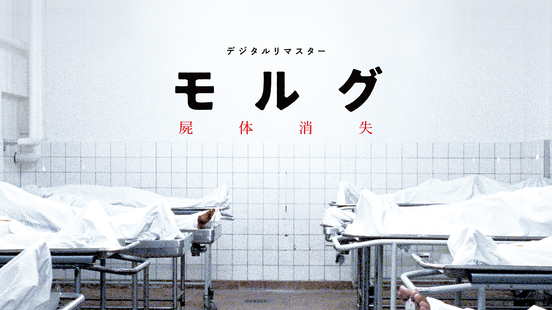 morugu shitaishoushitsu dejitarurimasuta